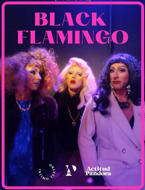Black Flamingo
