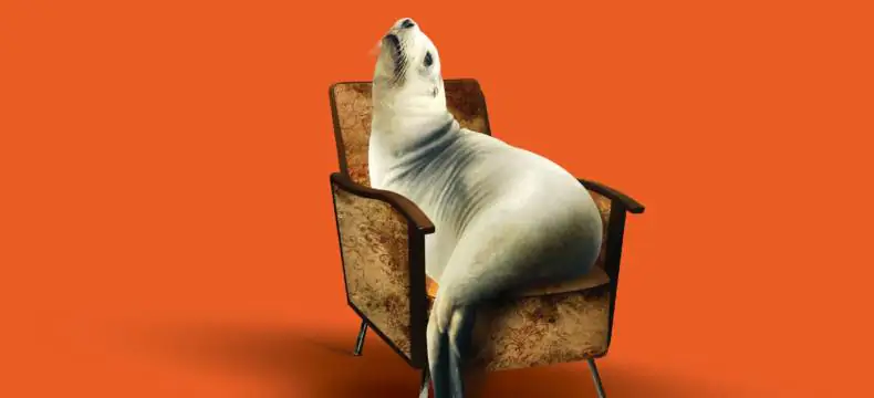 Las lágrimas de los animales marinos